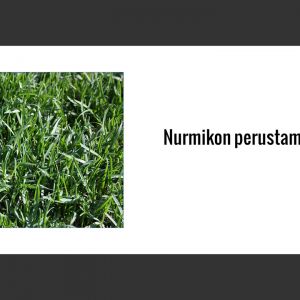 Nurmikko-02.jpg