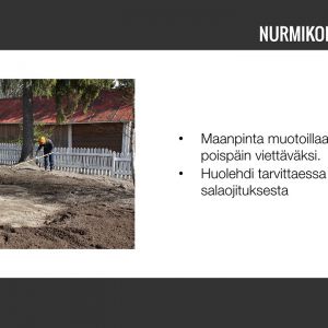Nurmikko-04.jpg