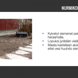 Nurmikko-08.jpg